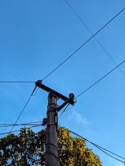 15549