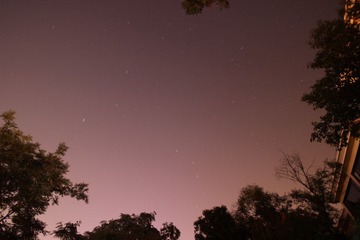 IMG_3293.JPG
