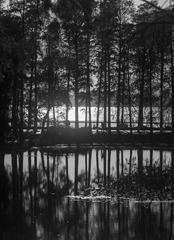 A78E3ED4-F102-4374-9647-D012C2E5D7D2/L0/001