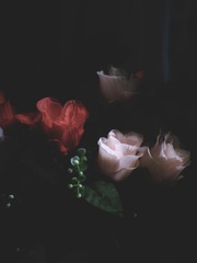 84452C6F-76FE-49CF-ABA5-2974DBEB6D12/L0/001
