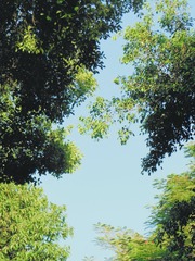 412B4A20-65B5-4D3F-8D45-E2B6EA84FA9E/L0/001