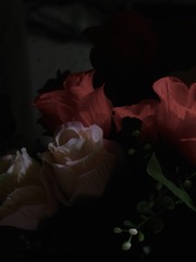 B48109DD-87C3-42D9-BC2A-156FB5E4D41A/L0/001