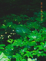 13C9DA4A-EB93-47D5-9F94-399B9E969613/L0/001