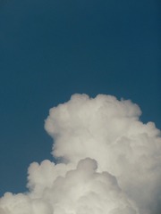 59486553-3DA9-412A-8549-CF29C62E7CAA/L0/001