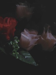 69D87AA3-C749-4A5E-B0D6-068629F16BF0/L0/001