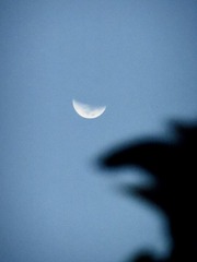 8058B0DF-C345-482A-AB91-473204E94293/L0/001
