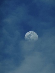 B88E6033-6A5F-4DE2-AD1B-492C1C16D580/L0/001