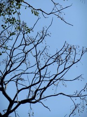 AB0E6D6E-1D1F-4958-B86B-475B16BEAB68/L0/001