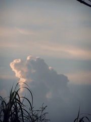 2953E829-6ED9-41B5-A6D2-50E6205F88EA/L0/001