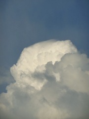 E728A1F4-8879-44EC-B737-DD0B61A2A394/L0/001