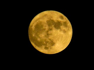 1A3593D9-077B-49B6-8CCB-4D5A9748DEB7/L0/001