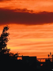 7D9AD045-3130-4130-82F9-6F007EC9C6E0/L0/001