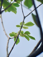 DD2FF54F-EB29-48C4-8D4B-CEE3D7E94041/L0/001