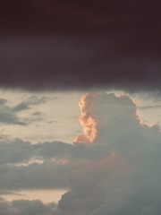 2D586EAD-C95A-4E80-B3EB-9375F35117F4/L0/001
