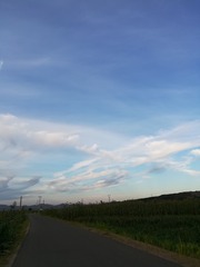 B9DE8427-A3C8-4E6E-B91A-A6EE48B0EF33/L0/001