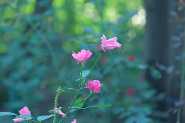 20101