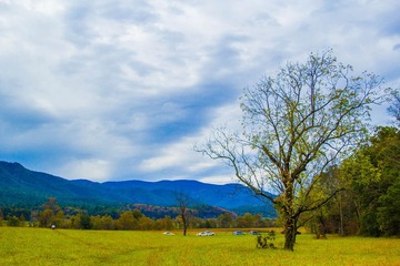 IMG_8012-2