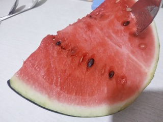 44275