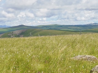 1975763