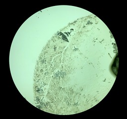 DC23619A-3253-420D-AAF8-8B1906931383/L0/001