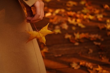 4F04BD10-B785-4DA5-9C8D-95928500948A/L0/001