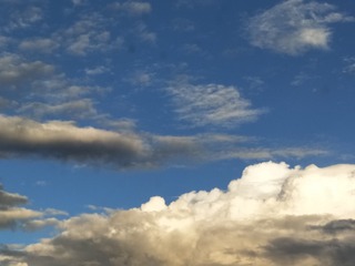 2431331