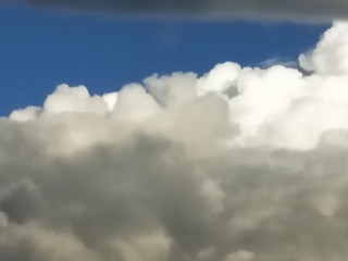 2431324