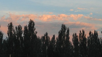 32008
