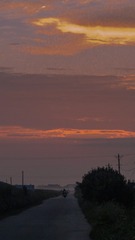32009
