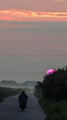 32003