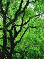 003F5802-BD10-4E4F-A19F-D7CB676E9E72/L0/001