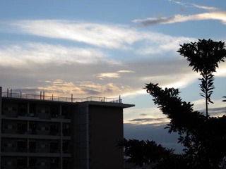 IMG_0606.JPG