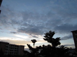 IMG_0615.JPG