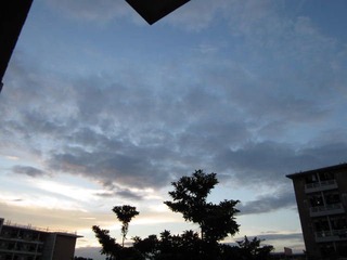 IMG_0616.JPG