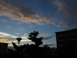 IMG_0598.JPG