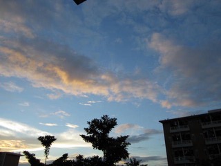 IMG_0599.JPG