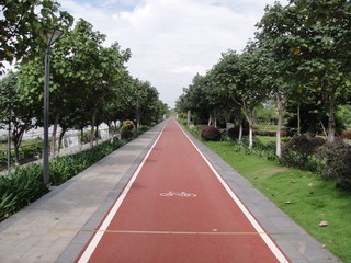 DSC02212.JPG
