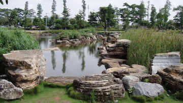 DSC02220.JPG