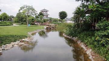 DSC02226.JPG