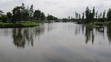DSC02227.JPG