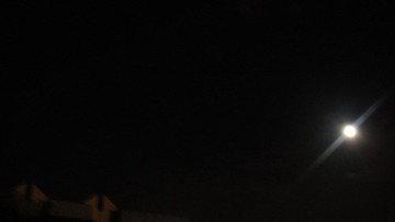 DSC02482.JPG