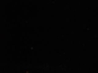 DSC02485.JPG