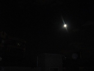 DSC02487.JPG