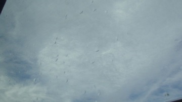 DSC02434.JPG