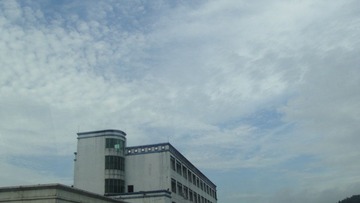 DSC02444.JPG