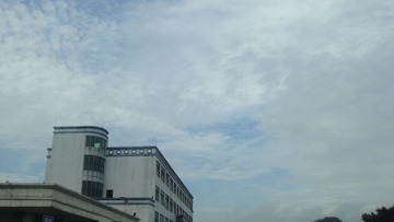 DSC02447.JPG