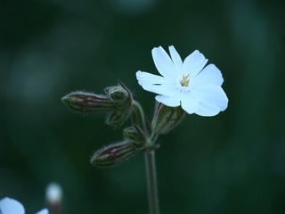 F0DF1EB5-4460-4DFD-A7DE-C7A2C23057CC/L0/001