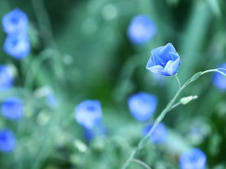 3F13B489-D1C4-4185-B5CB-6666131D381B/L0/001