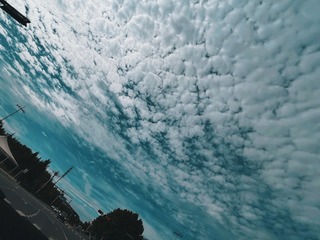 65070C3B-2E7A-4EDB-BEAD-F9514E5B505B/L0/001