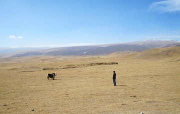 IMG_1919.jpg